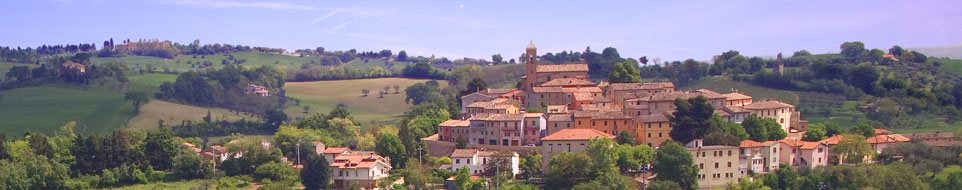 Serrungarina