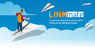 Immagine PORTALE LINKMATE